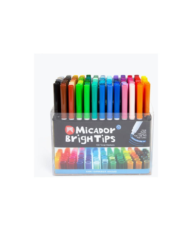 Micador 100 Different Colour Markers