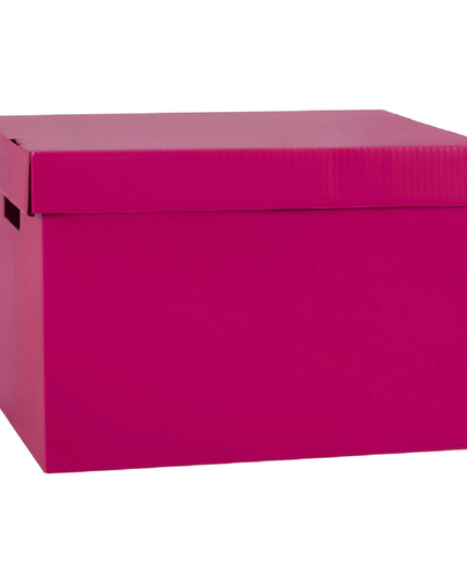 Marbig Patterned Archive Box (Assorted Colours)
